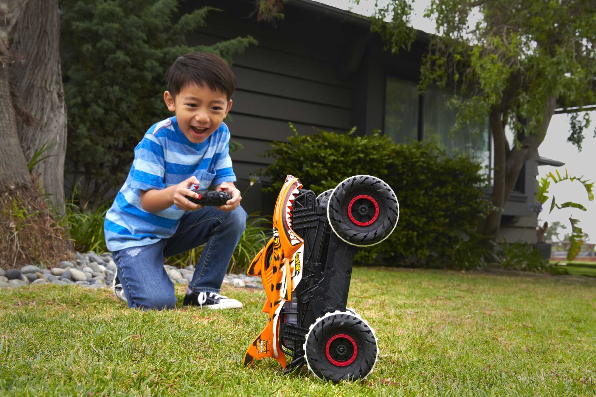 Hot Wheels Monster Trucks Tiger Shark Vehicle